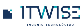 ITWISE TECHNOLOGY SERVICES